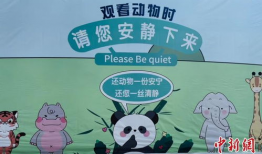 动物园漫画,趣味漫画背后的故事